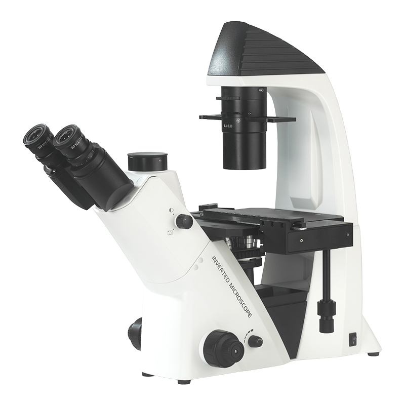 Inverted Fluorescent Microscope B G